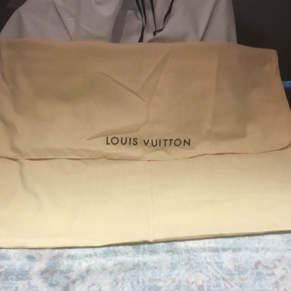 Large Louis Vuitton dust cover